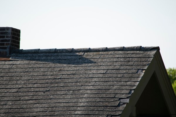 bobcat roof