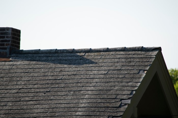 bobcat roof