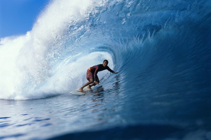 surfer barrel wave dolphins