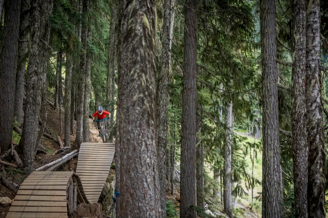 mountain biker bear whistler