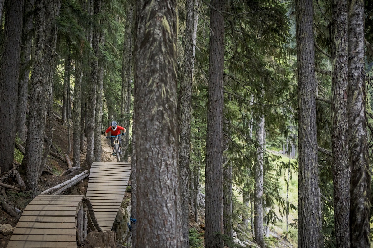 mountain biker bear whistler