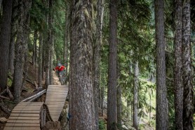mountain biker bear whistler