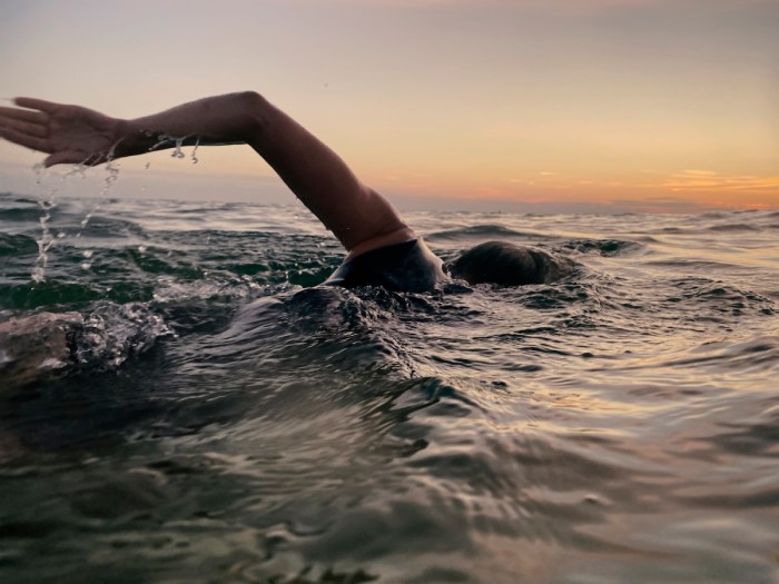 catherine breed swimming california coast