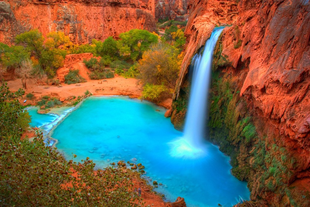 hiker attacked grand canyon