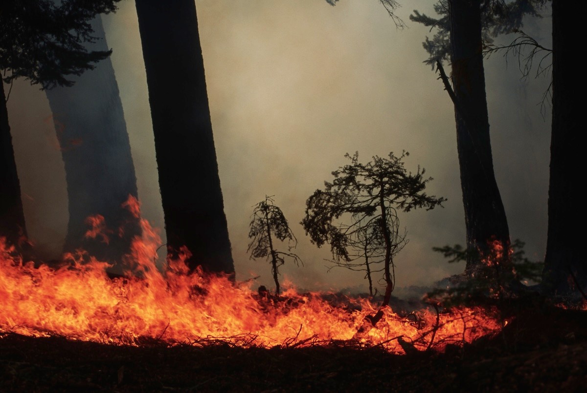 dome fire yosemite