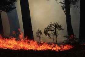 dome fire yosemite