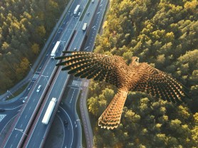 hawk sun roof vehicle